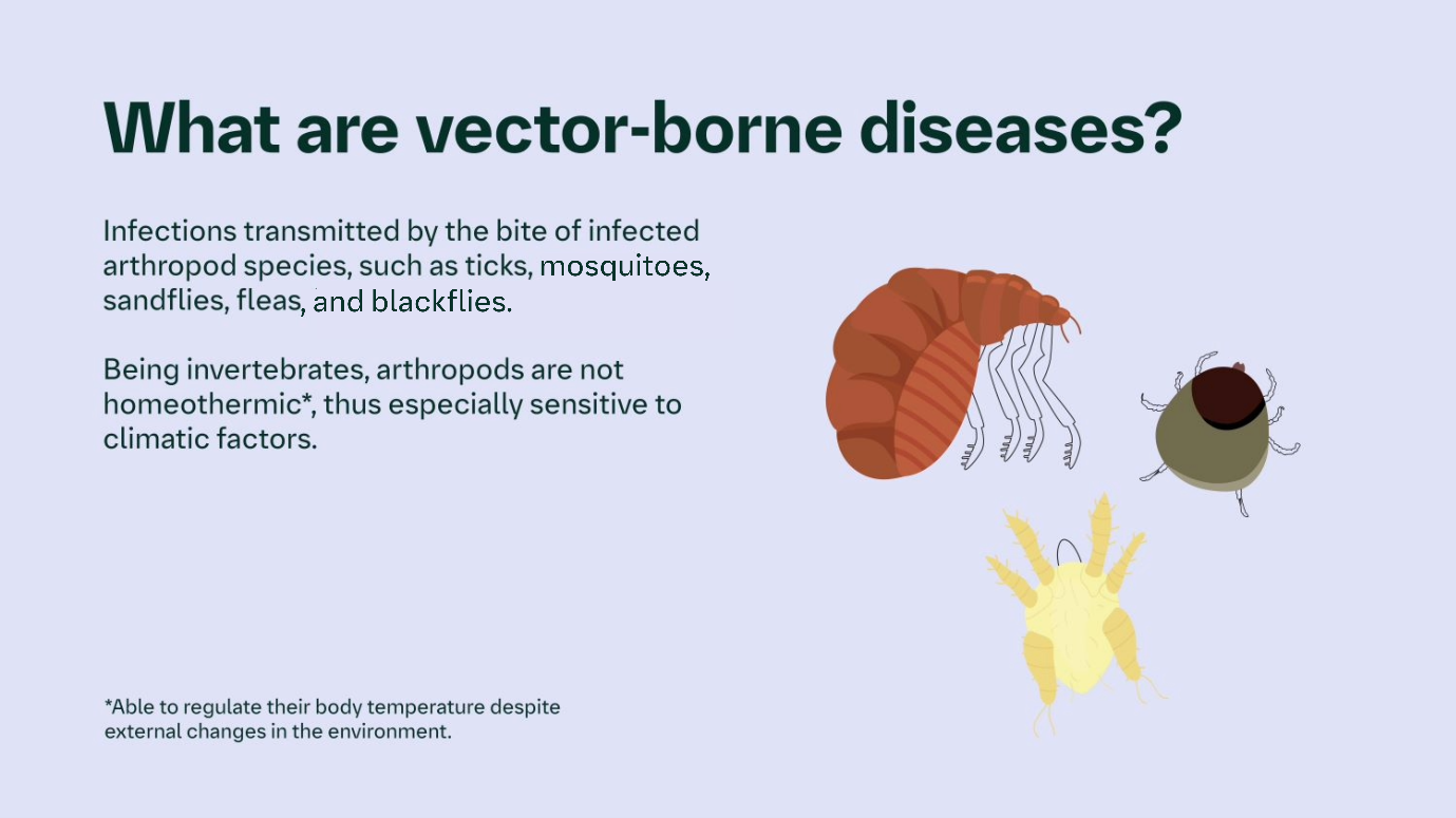 View of The geography of pet parasites is changing | Boehringer Ingelheim